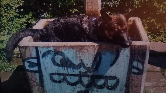 Hera, 6 Jahre, auf dem Bruderholz, badet in einem Brunnen.