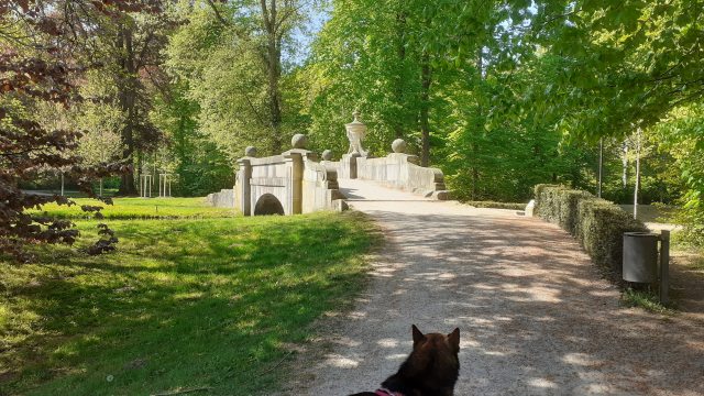 Photographie d'un pont dans un parc.